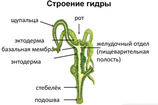 Кракен маркетплейс kr2web in площадка торговая