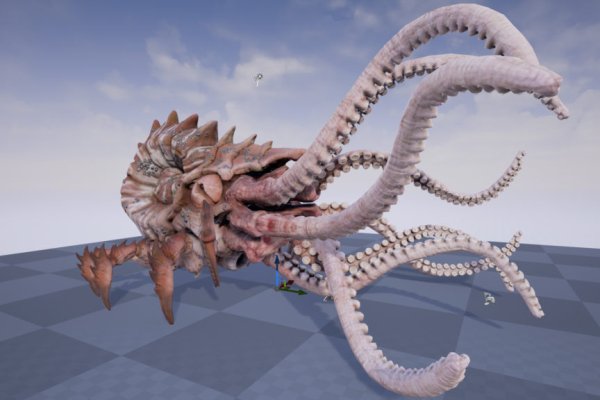 Kraken 16 onion