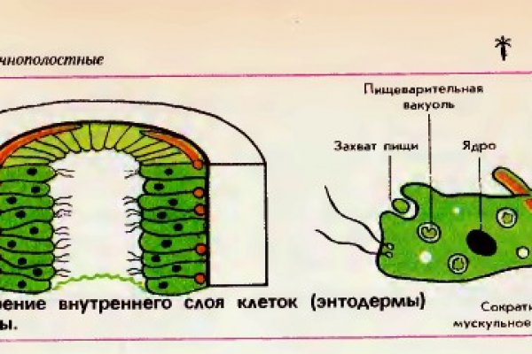 Как попасть на сайт кракен