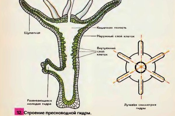 Не входит в кракен пользователь не найден